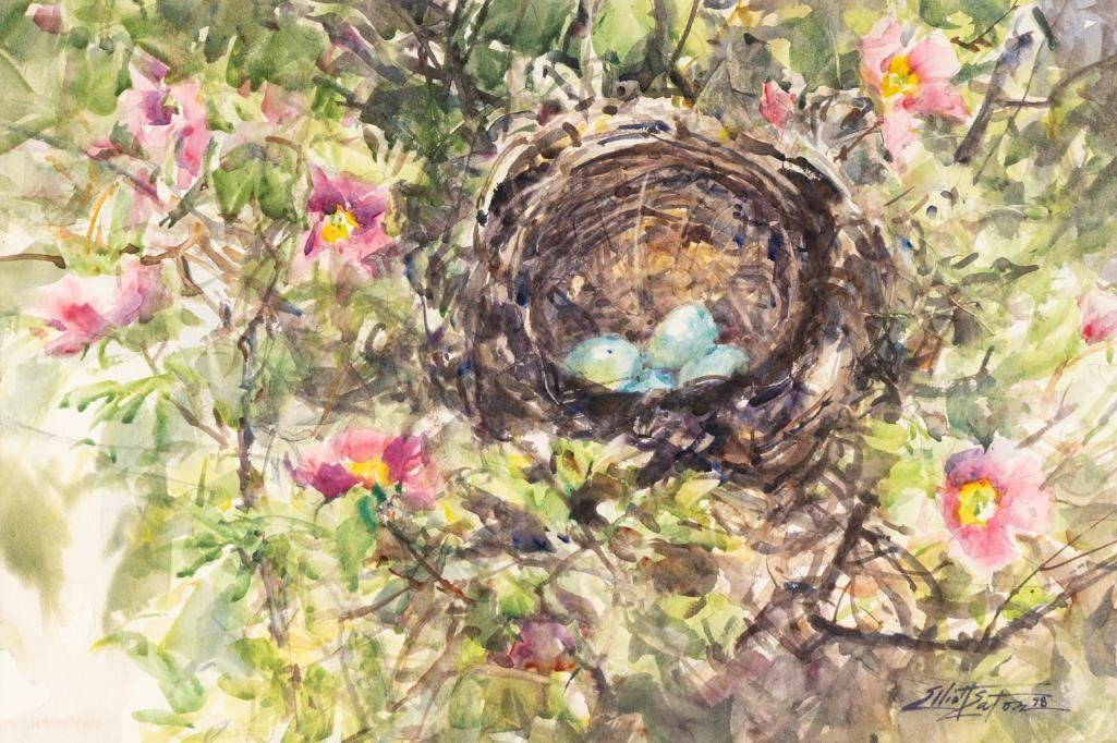 Eliot Eaton - Robin's Nest 1998 12" x 18"